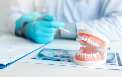 Dentist sitting at table with dental x rays and a model of the teeth