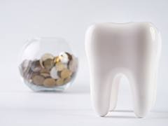 Tooth model in front of jar of coins