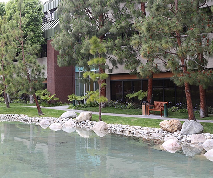 Small pond with rocks in front of dental office in Torrance