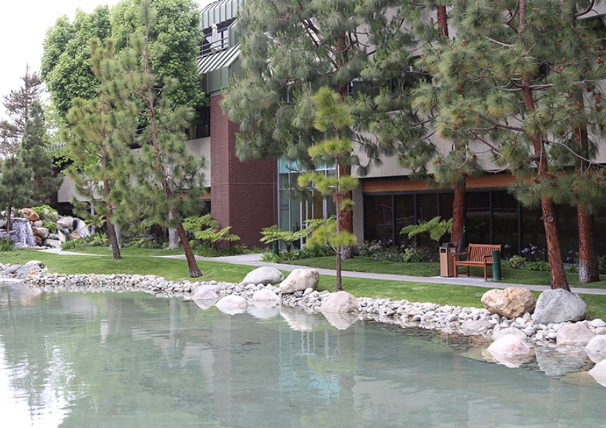 Small pond with rocks in front of Blue Coast Dental Group